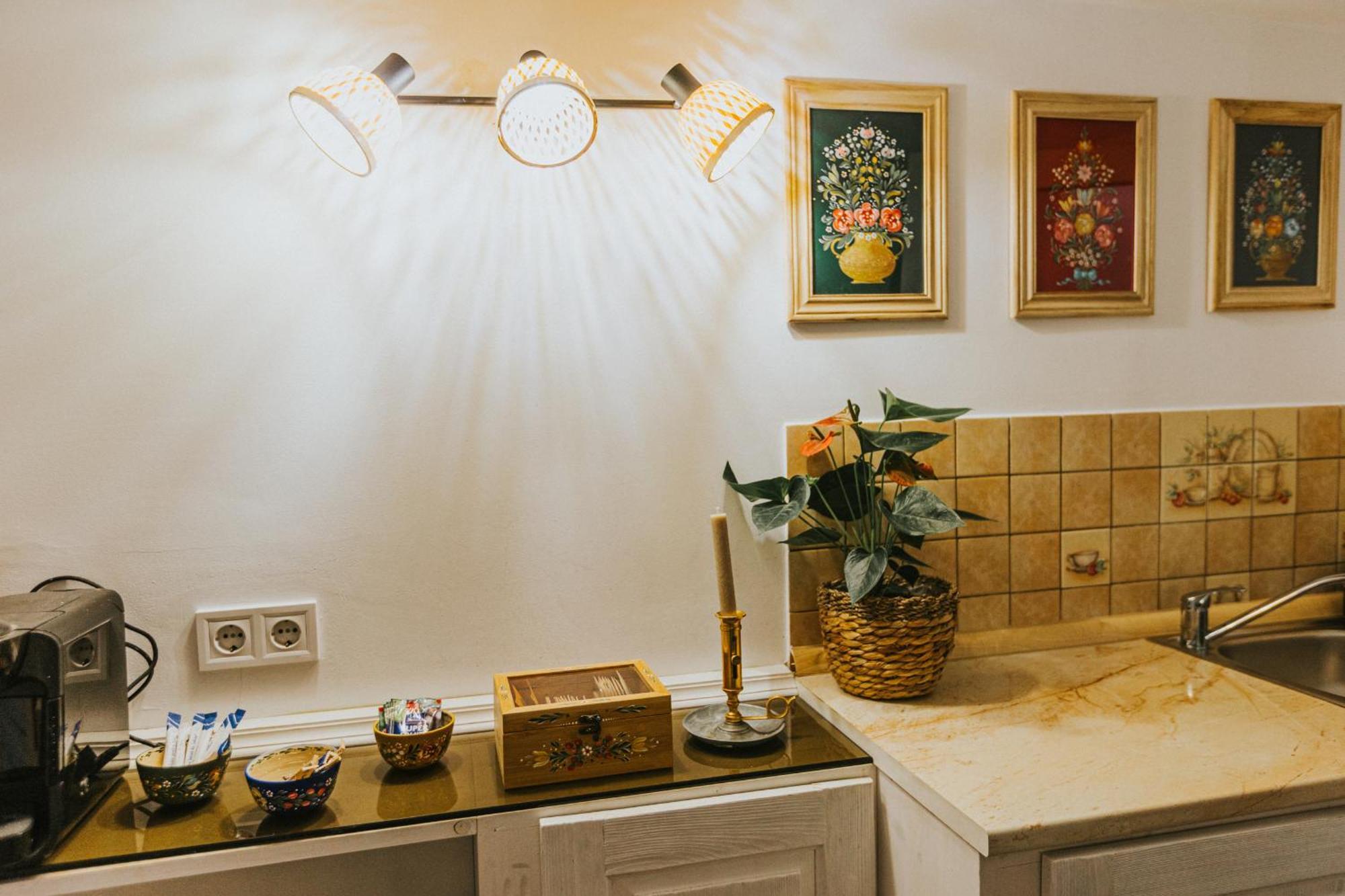 Republicii Rustic Apartament In Brasov City Center Εξωτερικό φωτογραφία
