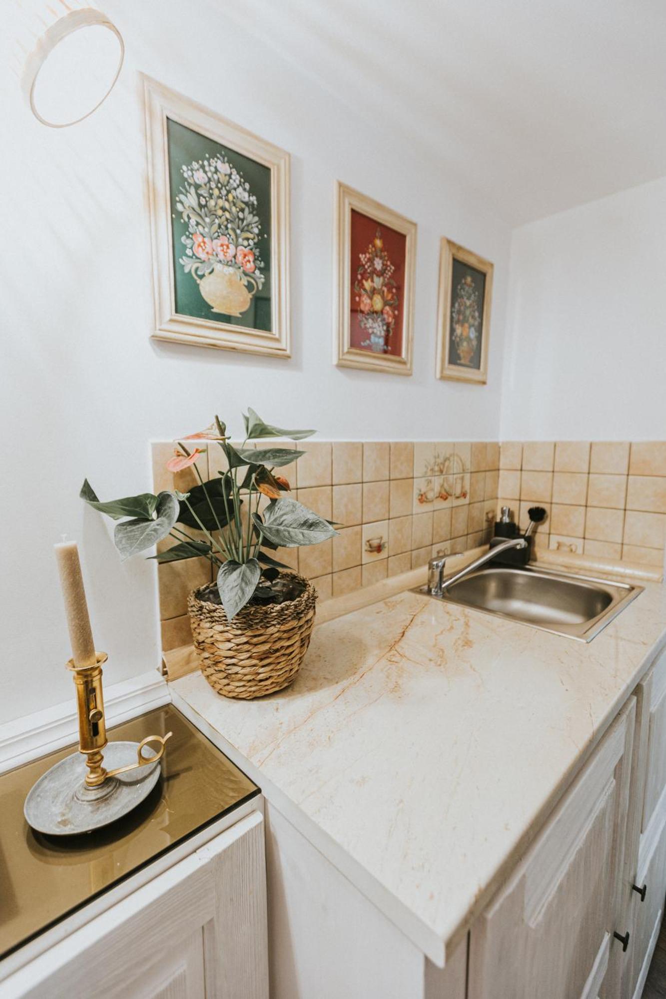 Republicii Rustic Apartament In Brasov City Center Εξωτερικό φωτογραφία