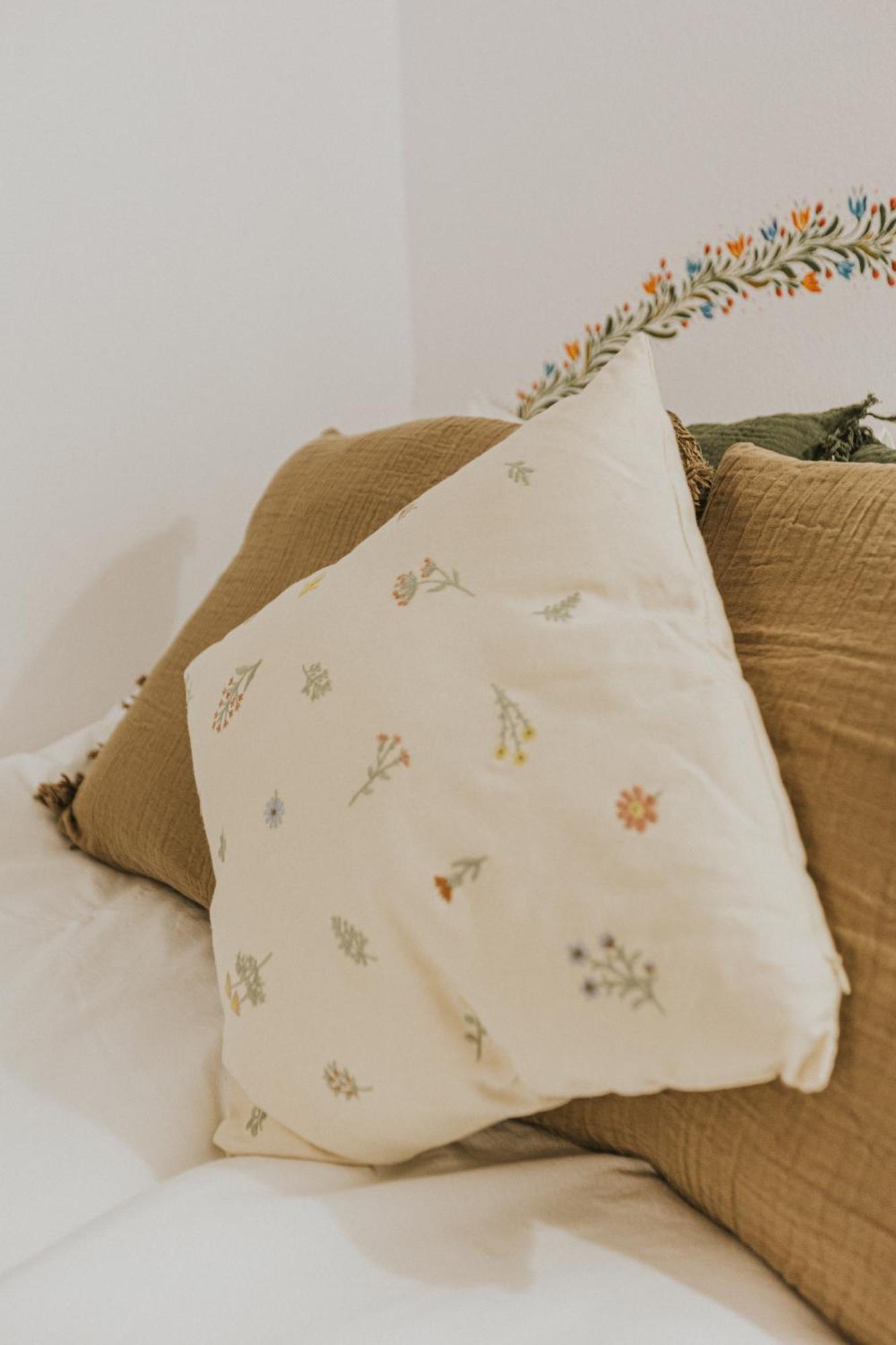 Republicii Rustic Apartament In Brasov City Center Εξωτερικό φωτογραφία